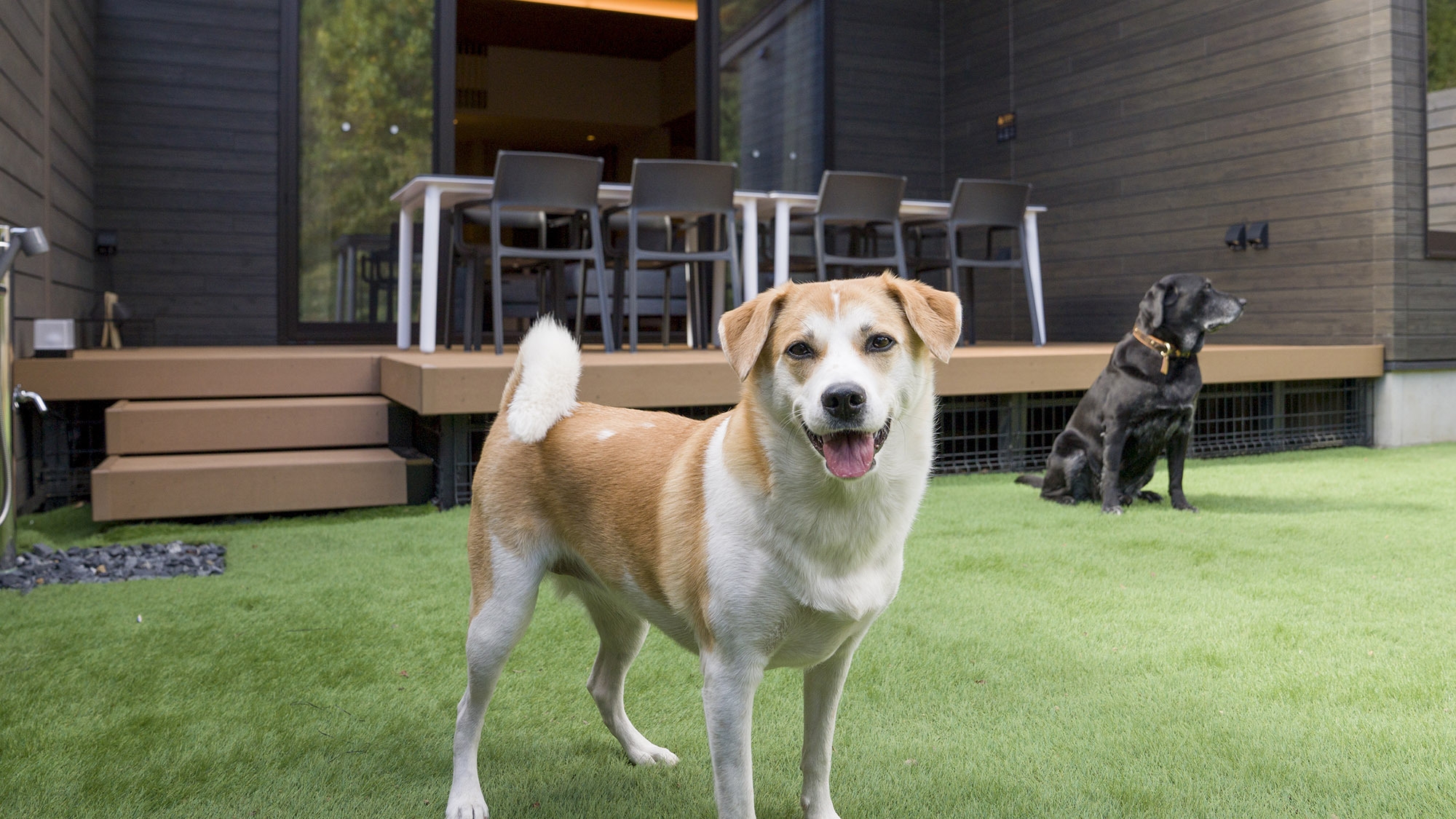 ★休日いぬ部でも紹介★【素泊】客室専用ドッグラン・天然温泉・サウナ完備！大切な家族と自然に癒される旅