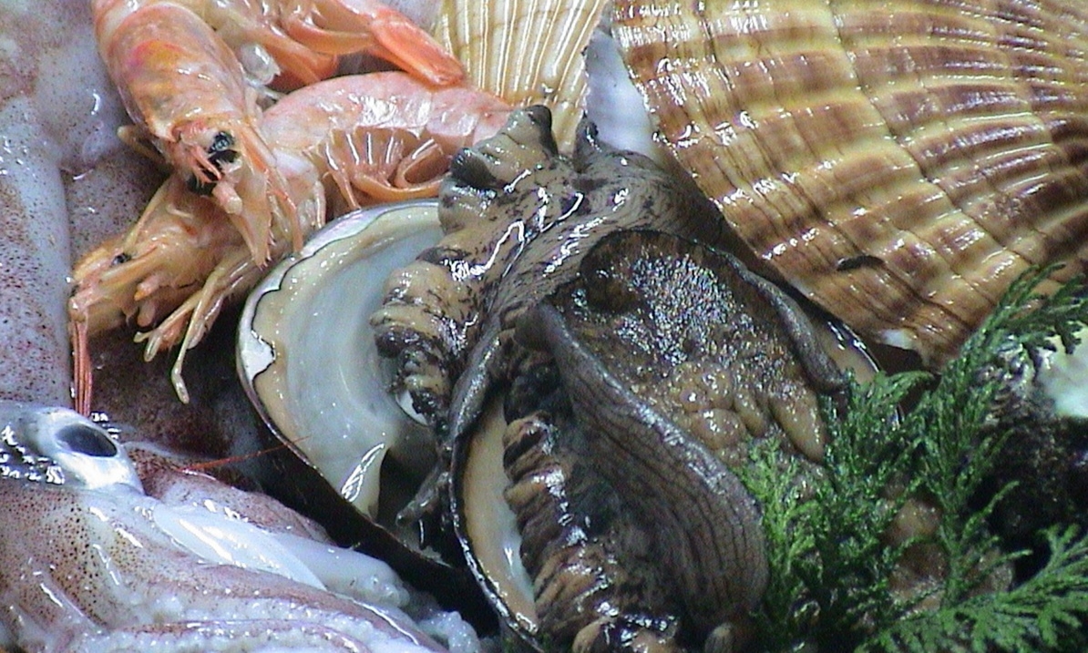 【海鮮残酷焼きプラン】メインは活あわびの踊り焼き♪地魚・姿造りで満喫