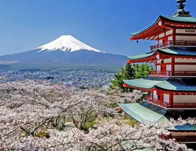 お車で１３分ほど忠霊塔！五重塔や富士の絶景、春にはお花見がお楽しみいただけます！