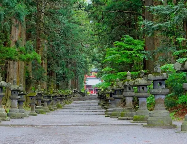 徒歩３分、富士浅間神社！樹齢１０００年以上の木など見どころたくさん