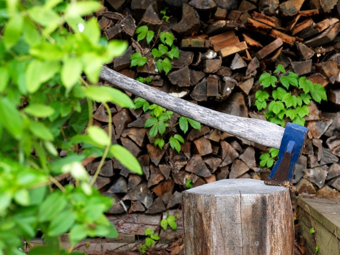 自然の雰囲気抜群！