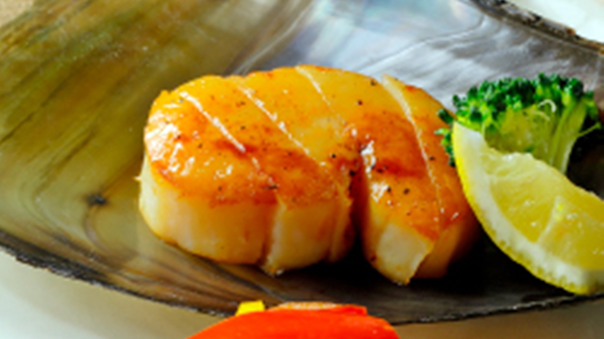 【海の幸コース】＜11月限定＞平貝、生しらす、たこ飯など、日間賀島の秋彩りグルメ満載！