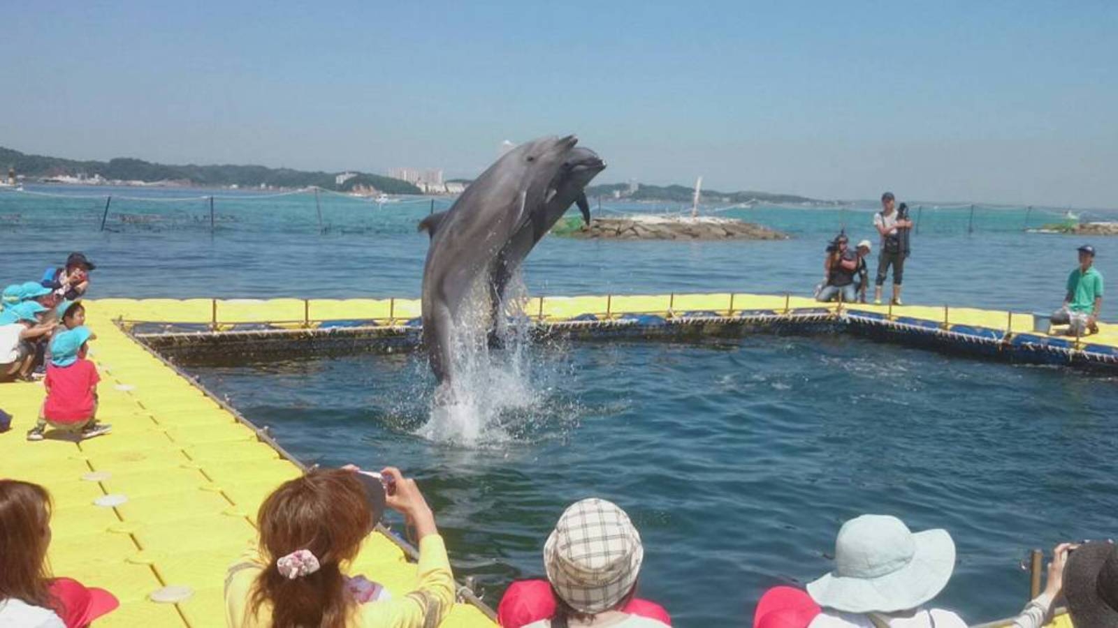 【期間限定】＜旬の海鮮コース＞島の旬を愉しむ！季節の喜びと共に味わう至高の海鮮！特典付