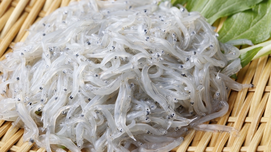 【期間限定】＜知多牛ステーキと旬の海鮮おまかせコース＞美食と絶景！食満喫の贅沢旅を愉しむ！特典付