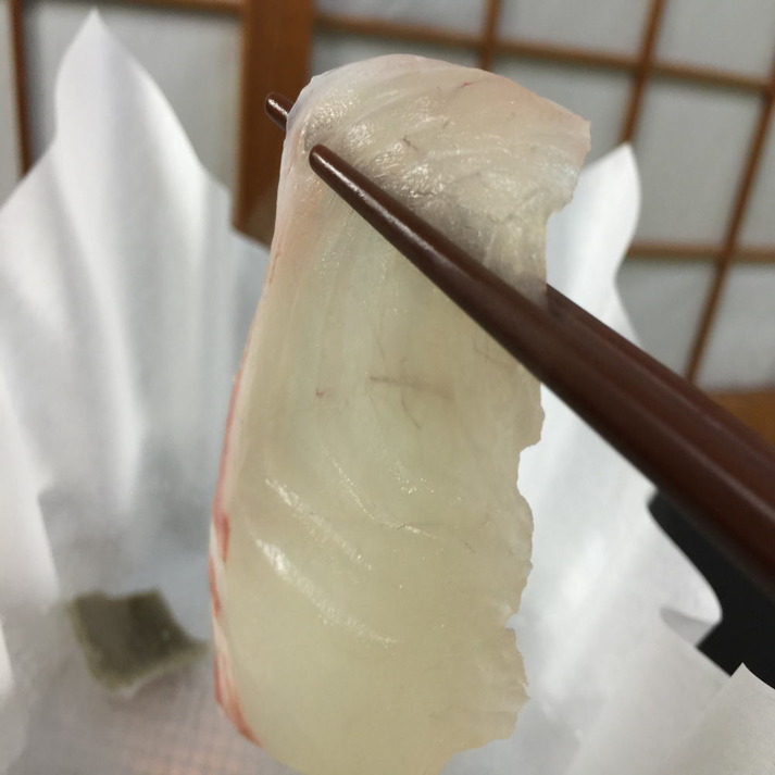 「鯛の鯛、見ーつけた♪」知多半島沖の新鮮な鯛を多彩な料理で堪能できる【当館スタンダードP】