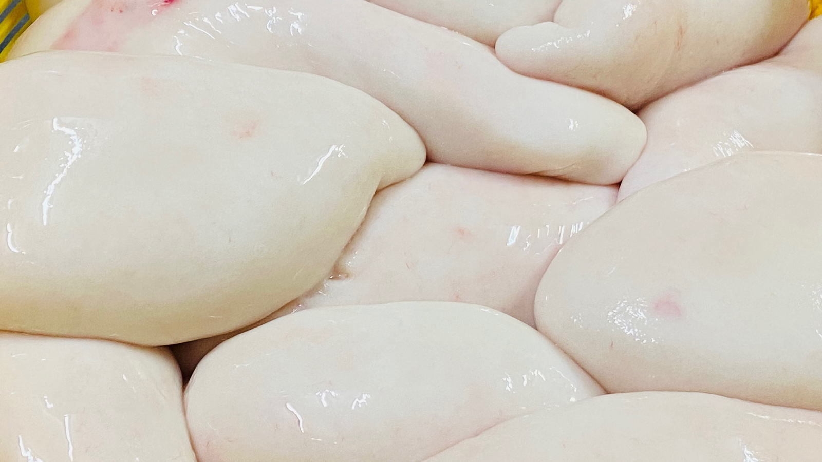 【直前割★お一人様1，000円OFF】ふぐデラックス☆ちょっと贅沢に！白子焼き・ひれ酒付きでフグ堪能