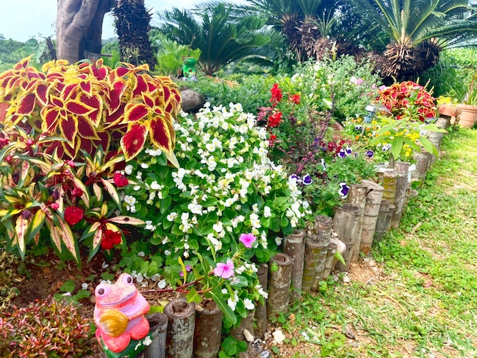 ・庭には色とりどりの花と草木があります