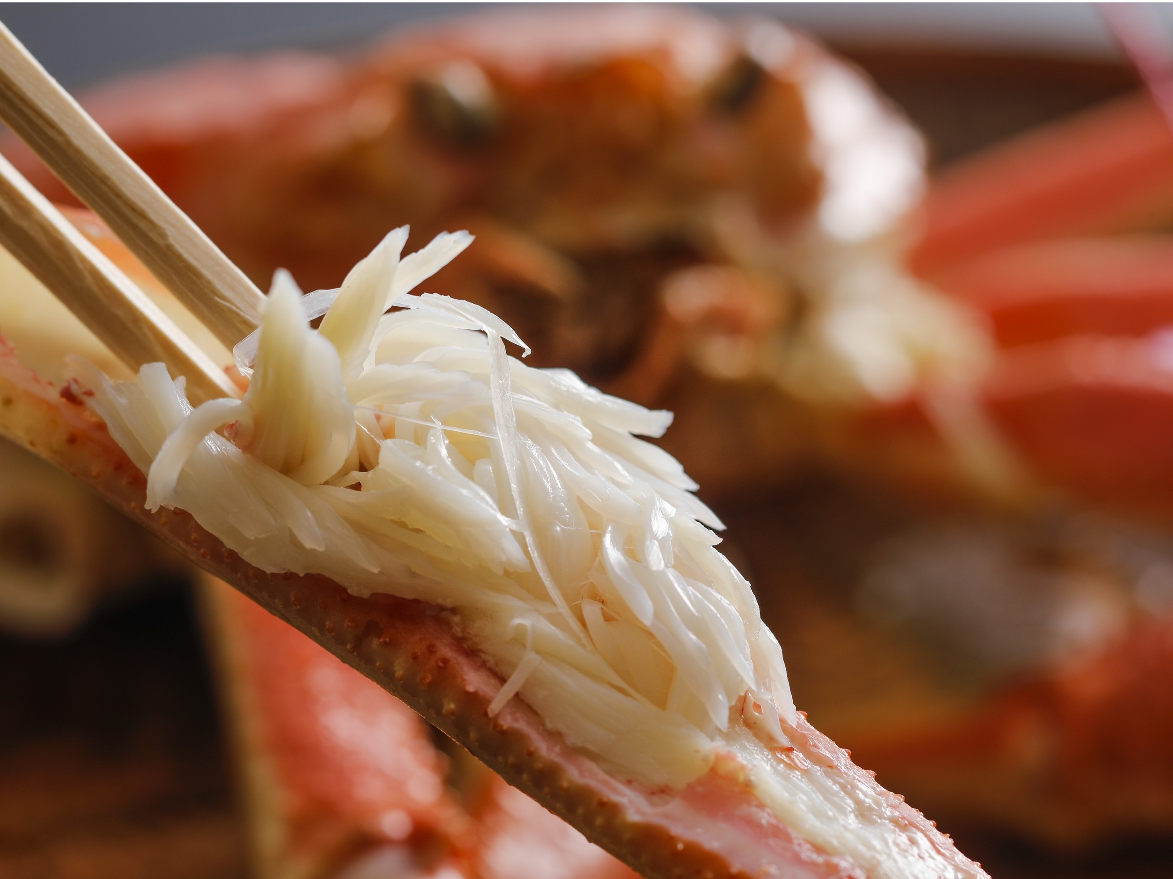 【昼食】【冬旅◆松葉ガニ懐石】★冬色コース★≪カニ天ぷら付フルコース＆但馬牛香草塩釜焼≫