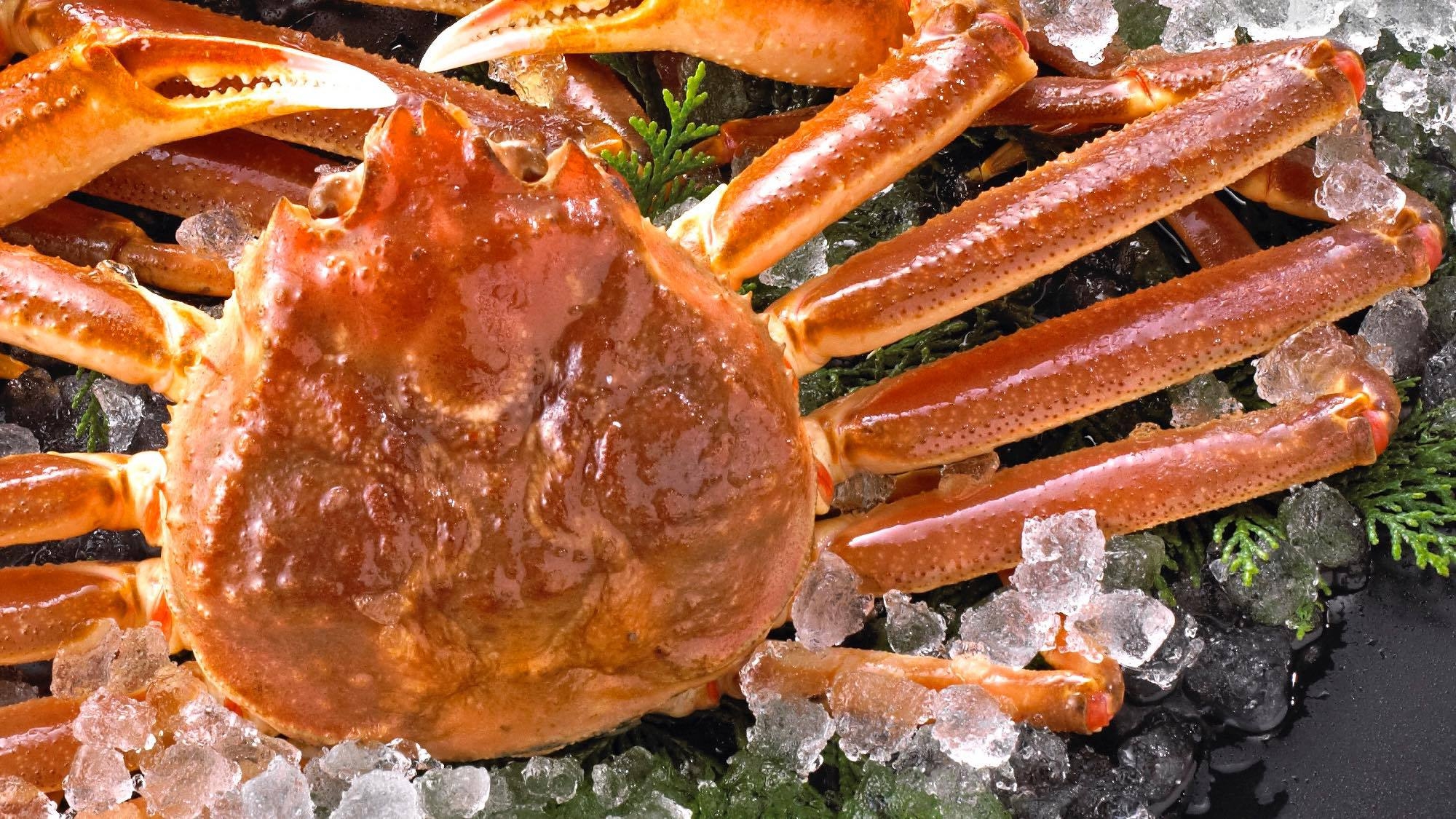 【特選かにプラン】京都府産 ”地蟹” カニフルコース｜天橋立 かに旅｜宴会場個室食