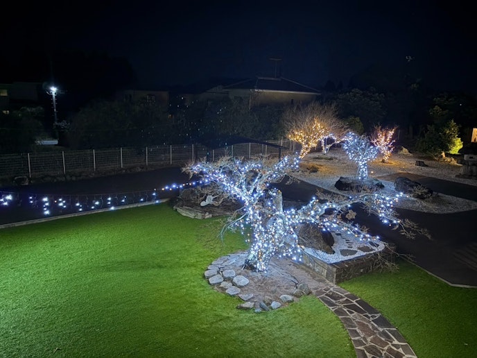 １２月～２月限定イルミネーション