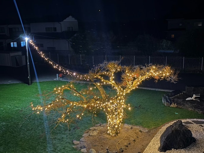 １２月～２月限定イルミネーション