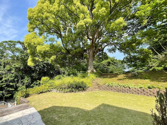 ・【庭】高台に建ち緑あふれる自然を感じながらのんびりとお過ごしください