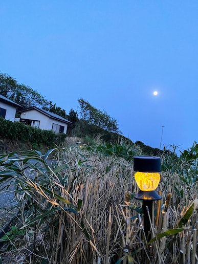 月夜に照らされ癒しの夜