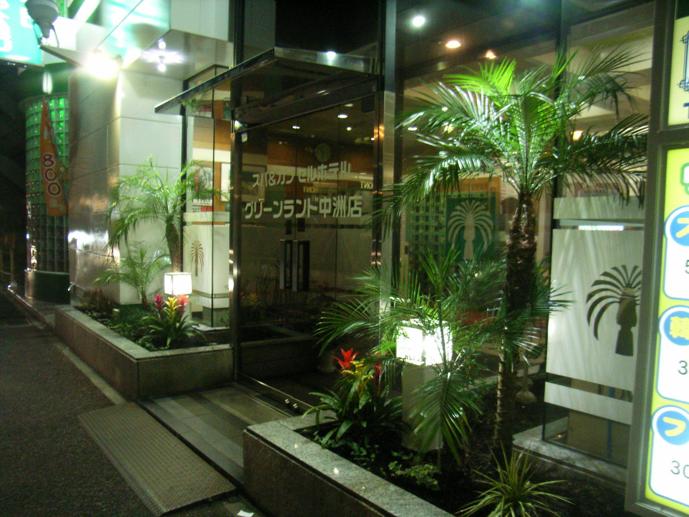 写真1