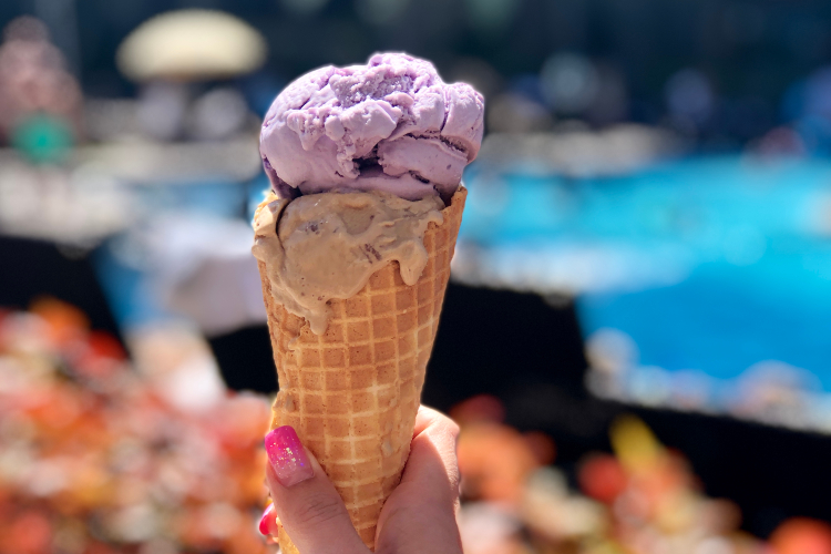 ウィキウィキ マーケット トロピカルドリーム アイスクリーム 一例