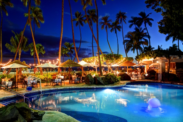 ハウ ツリー バー 座席 夜 一例