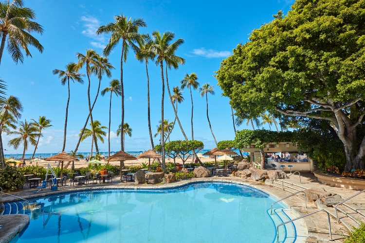 ハウ ツリー バー 座席 昼 一例