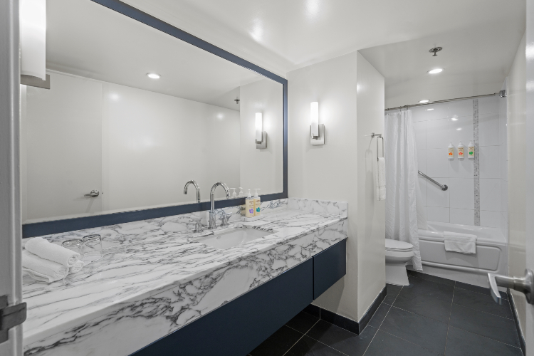 1ベッドルーム スイート バスルーム 一例