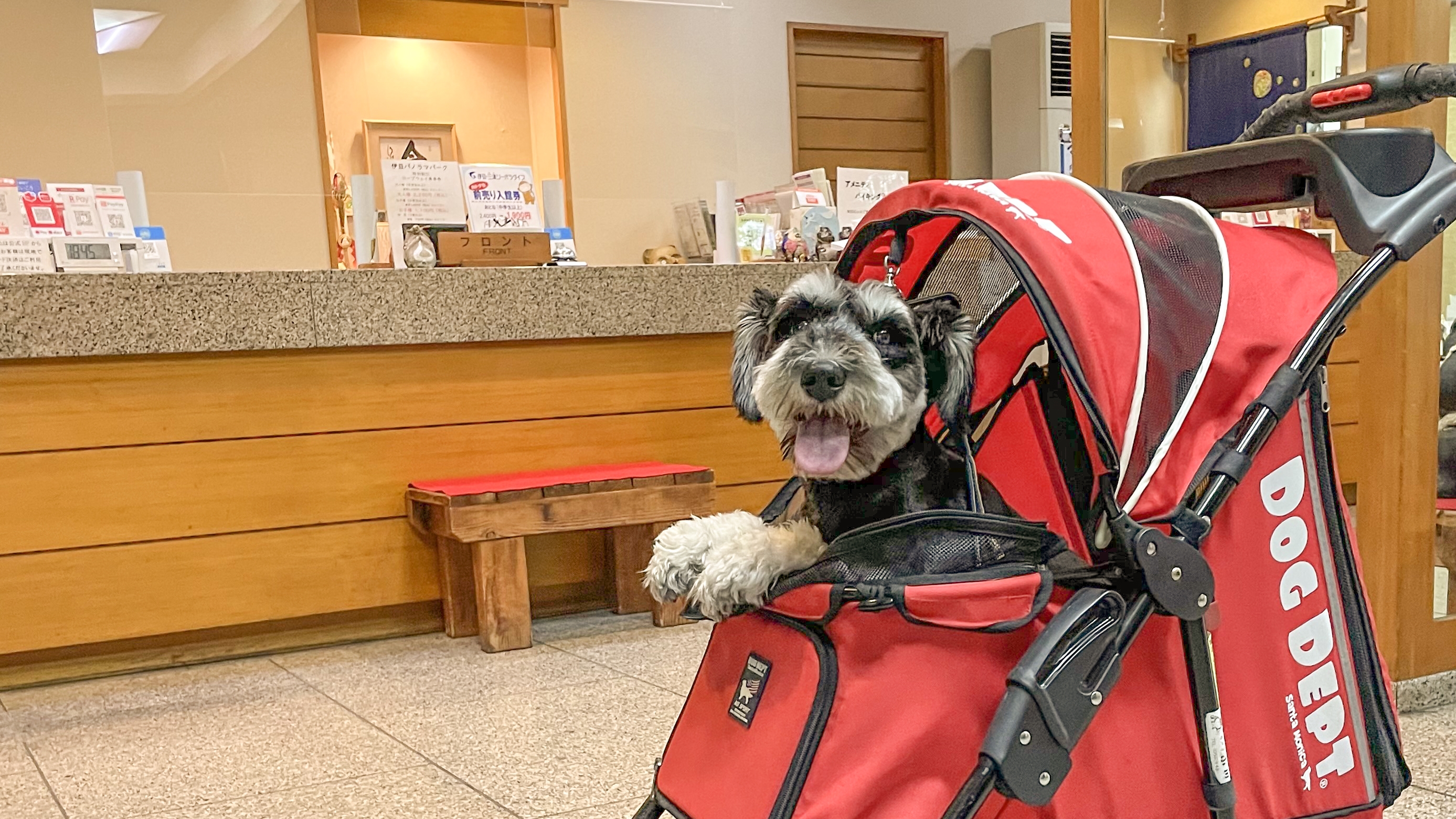 *【ワンちゃんと宿泊】2023年7月からロビー等共有スペースでは抱っこ移動がOKになりました。