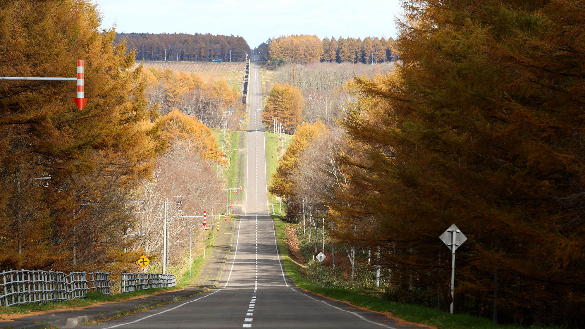 ・【周辺】中標津の町から開陽台に向かう町道北19号線はドライブに最適、秋には紅葉が楽しめます