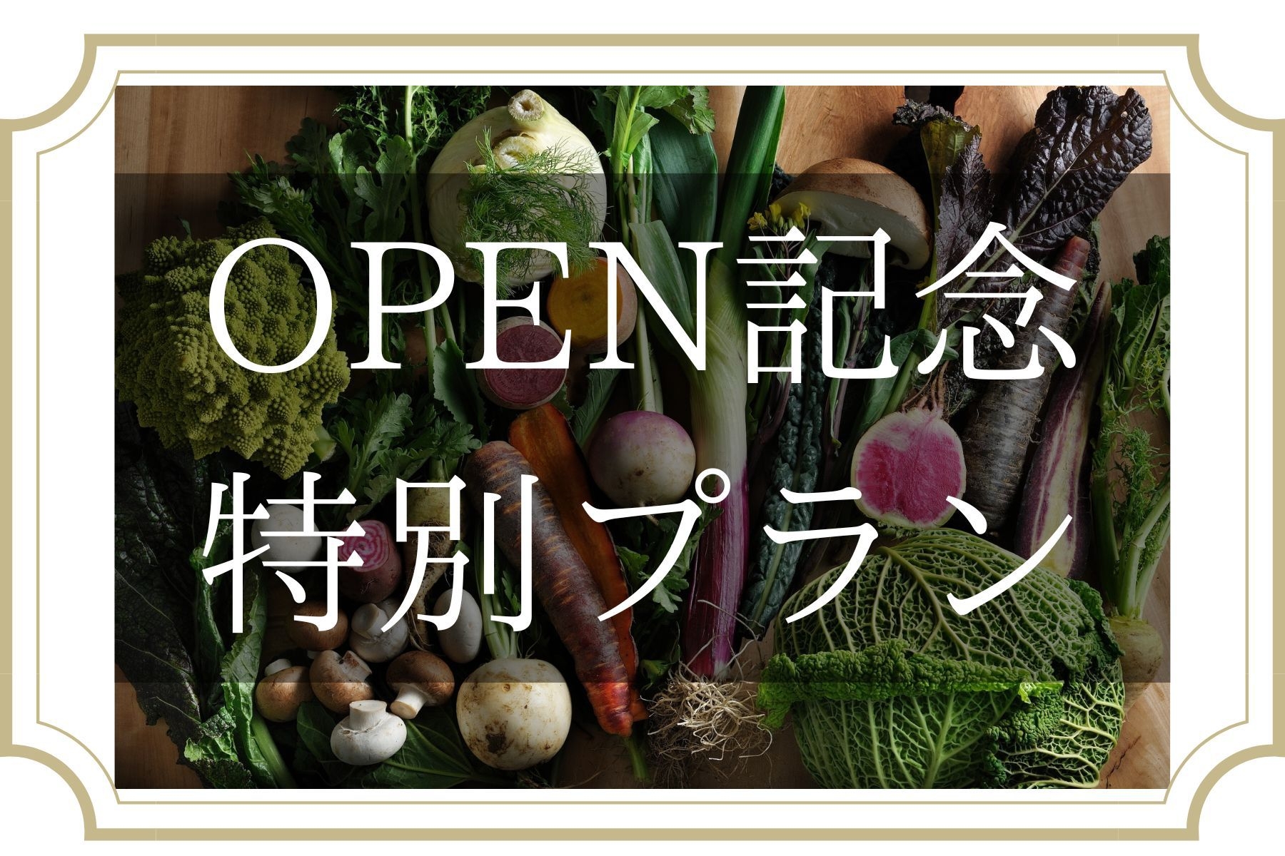 【新棟OPEN記念 10％off+Biwacollage特製朝食】-大正町屋×サウナ×アート-貸切