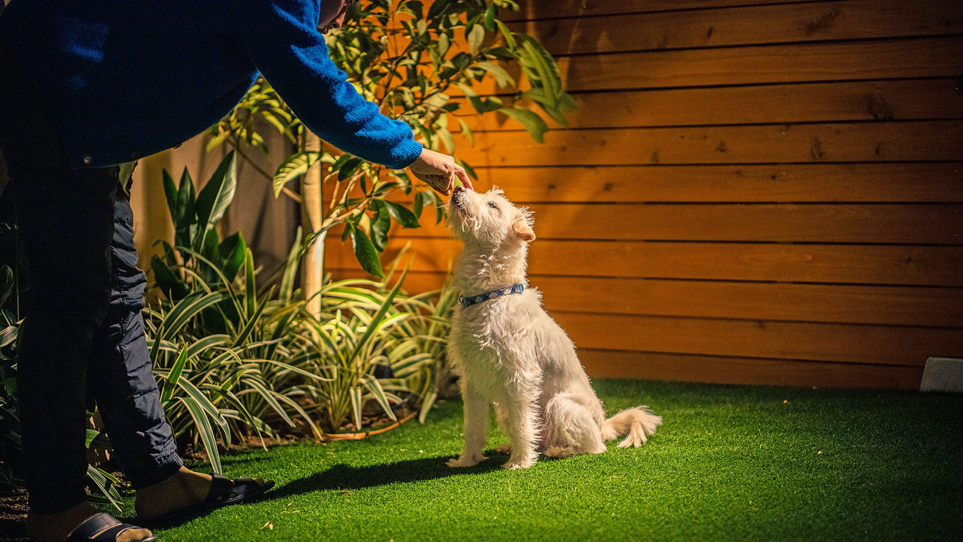 1F庭付きスタンダード和室（Bタイプ）