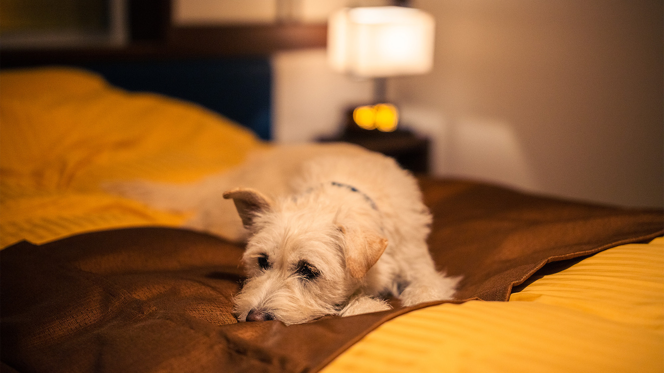 2Fスタンダード和室（Aタイプ）