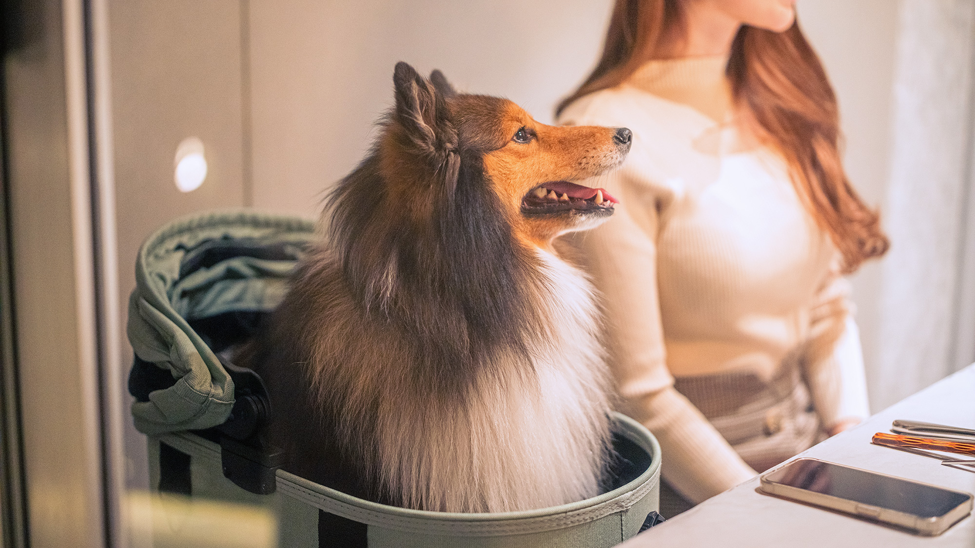 特製のお食事をご用意