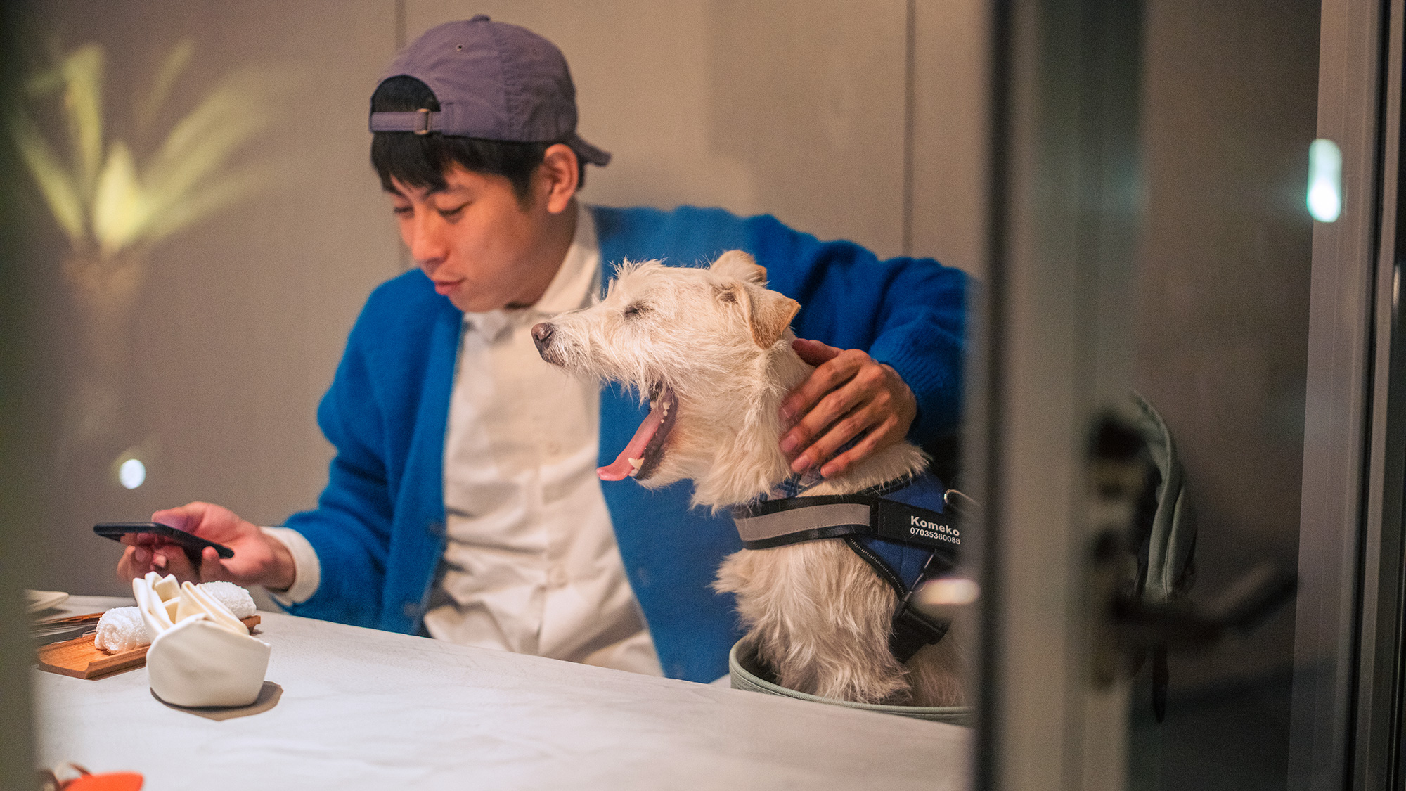 ワンちゃんと一緒に気兼ねなくお食事