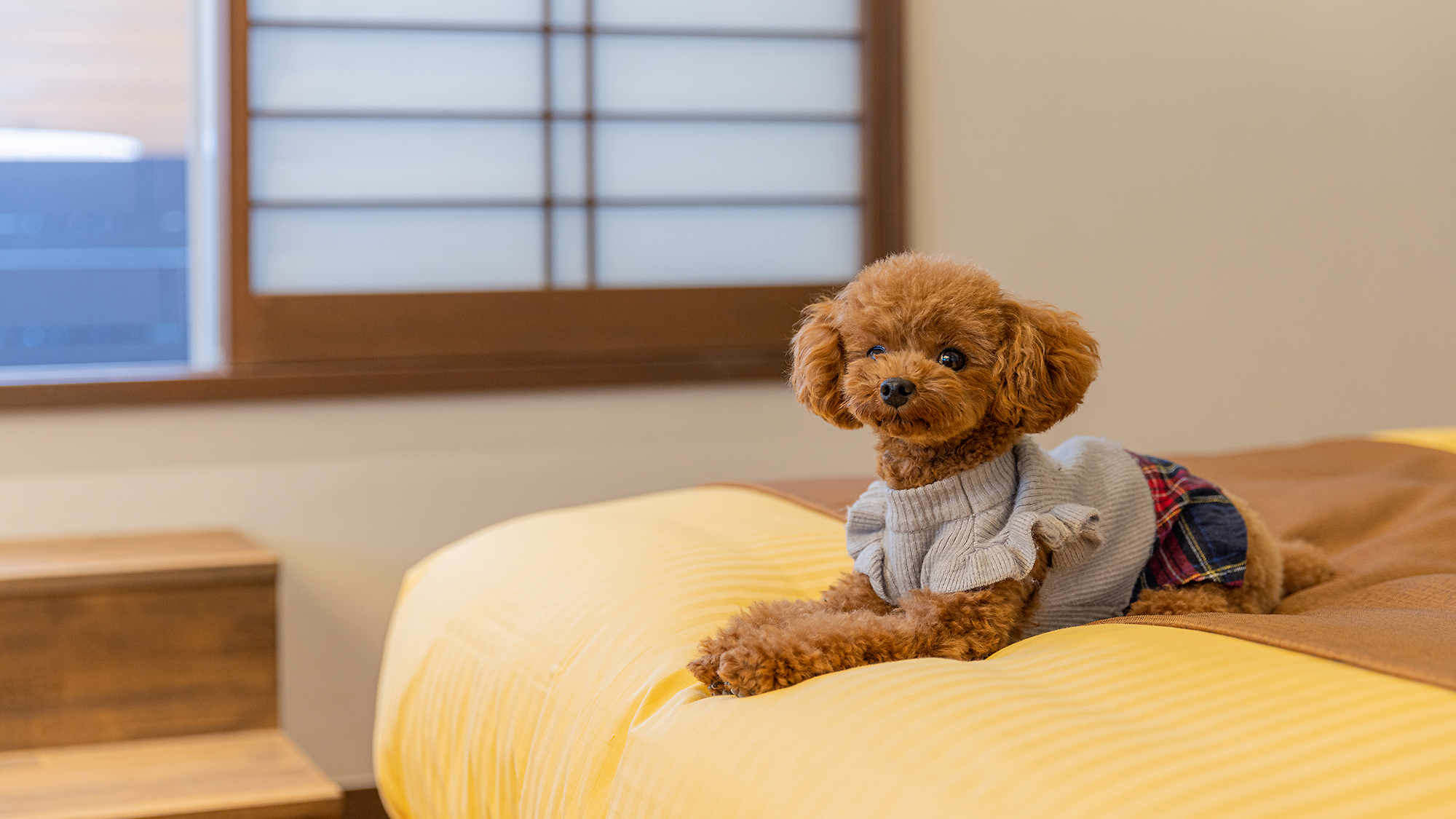 大切なワンちゃんとお部屋でも一緒に