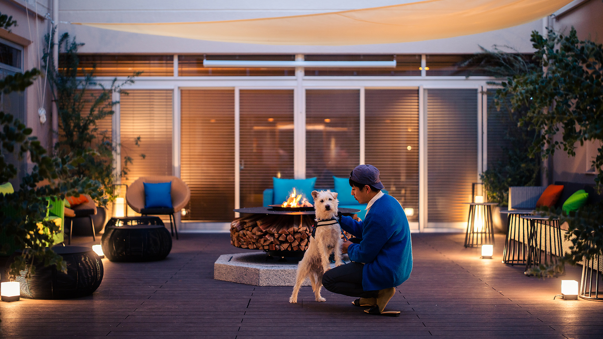 愛犬と一緒の旅時間