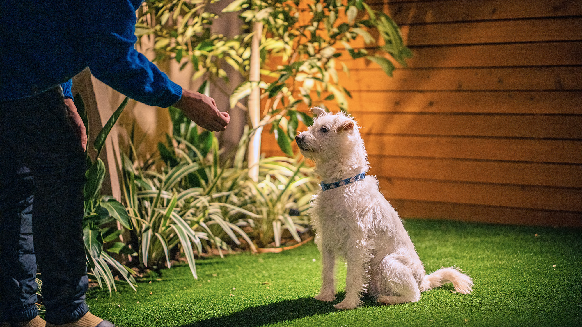 1Fのお部屋なら専用の庭付き