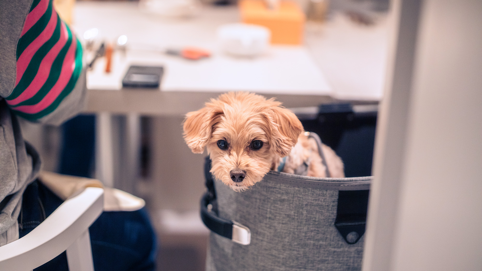 個室スタイルのレストラン
