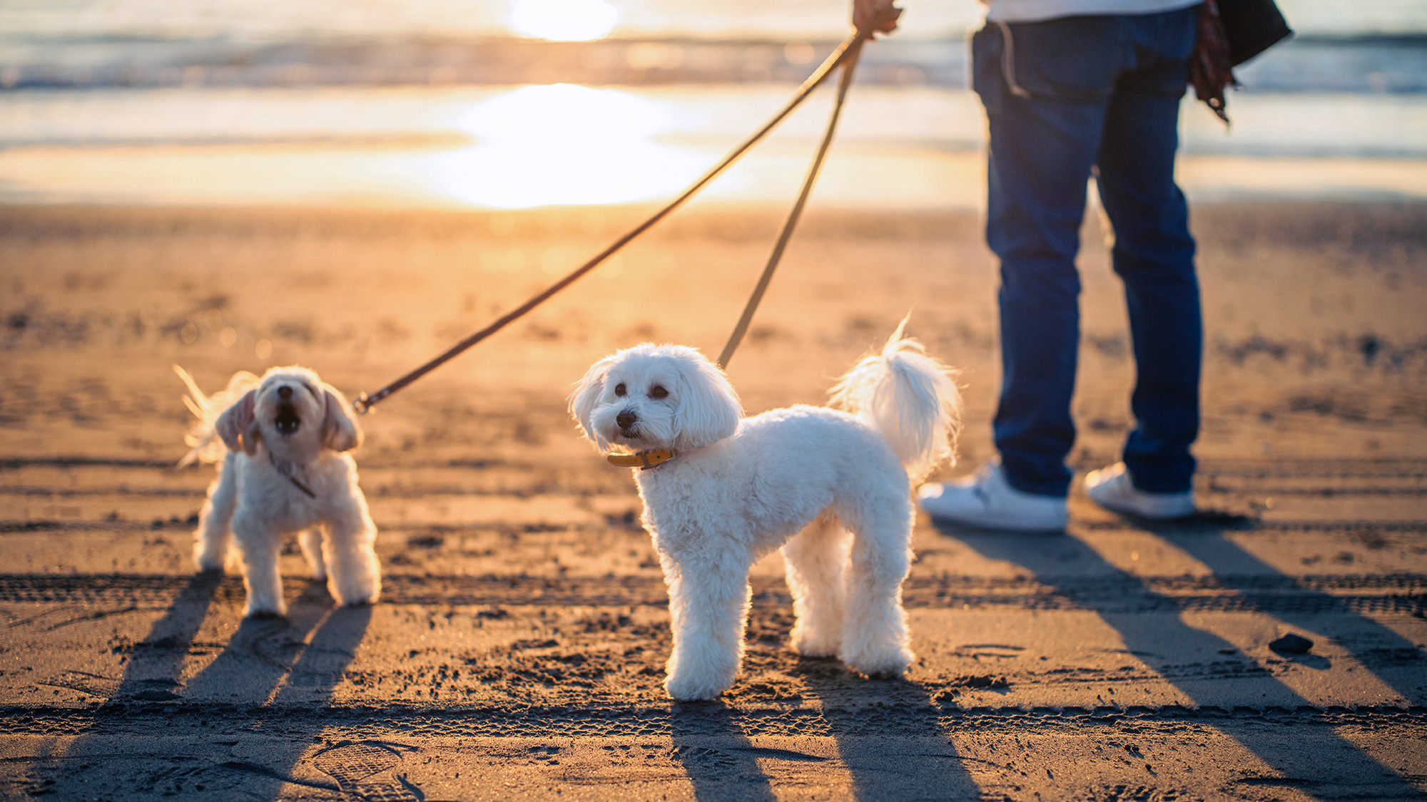 夕暮れの岩井海岸へ