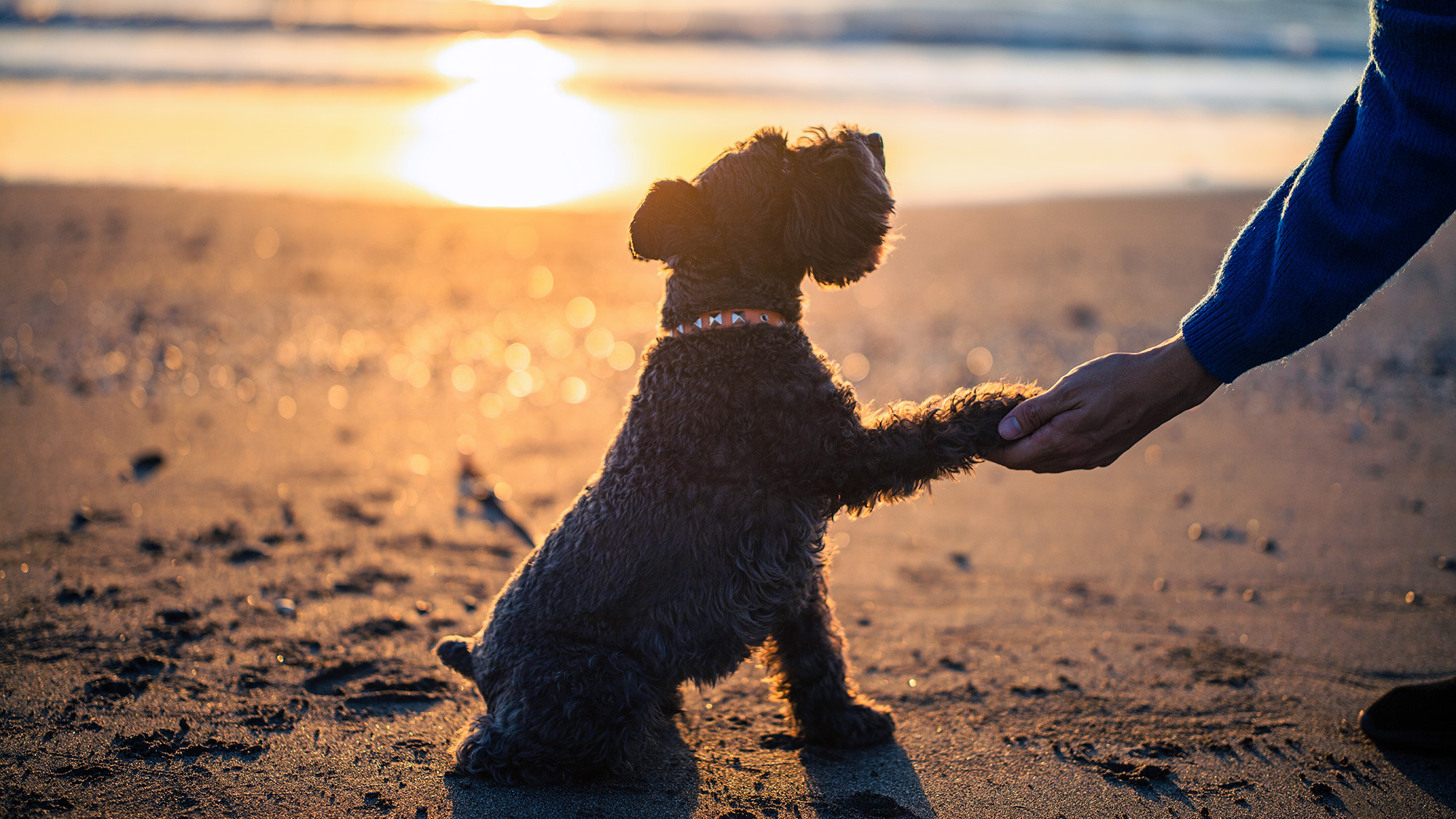 徒歩２分で着く岩井海岸