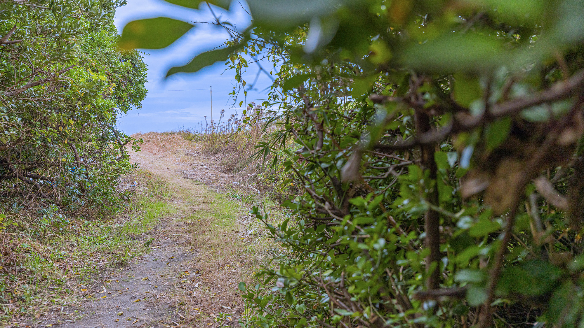 岩井海岸へお散歩