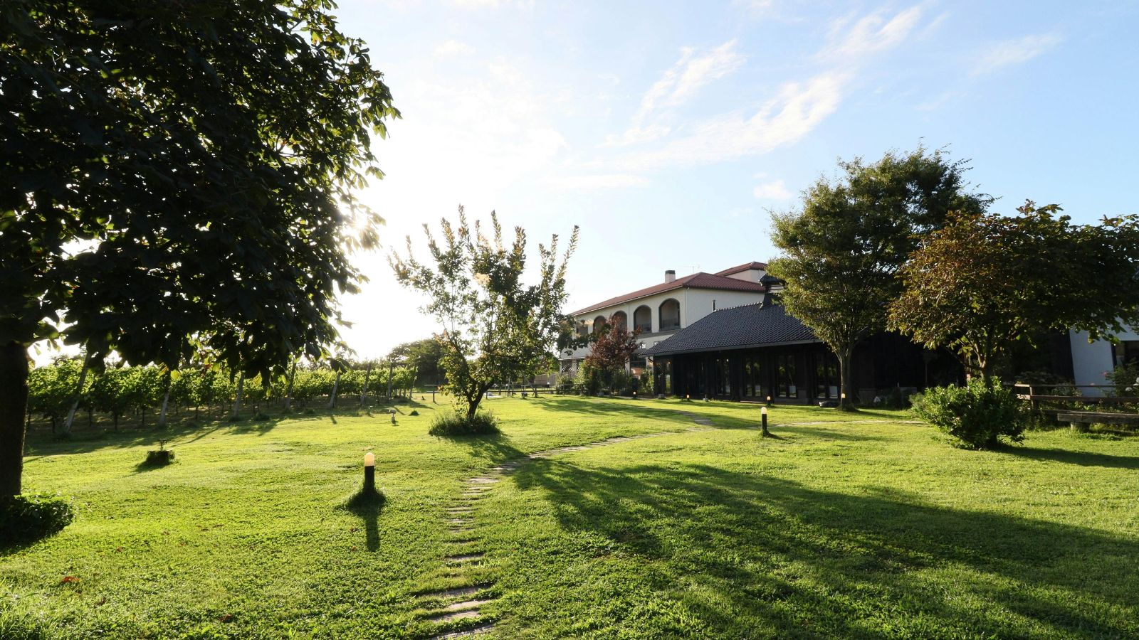 敷地内イメージ