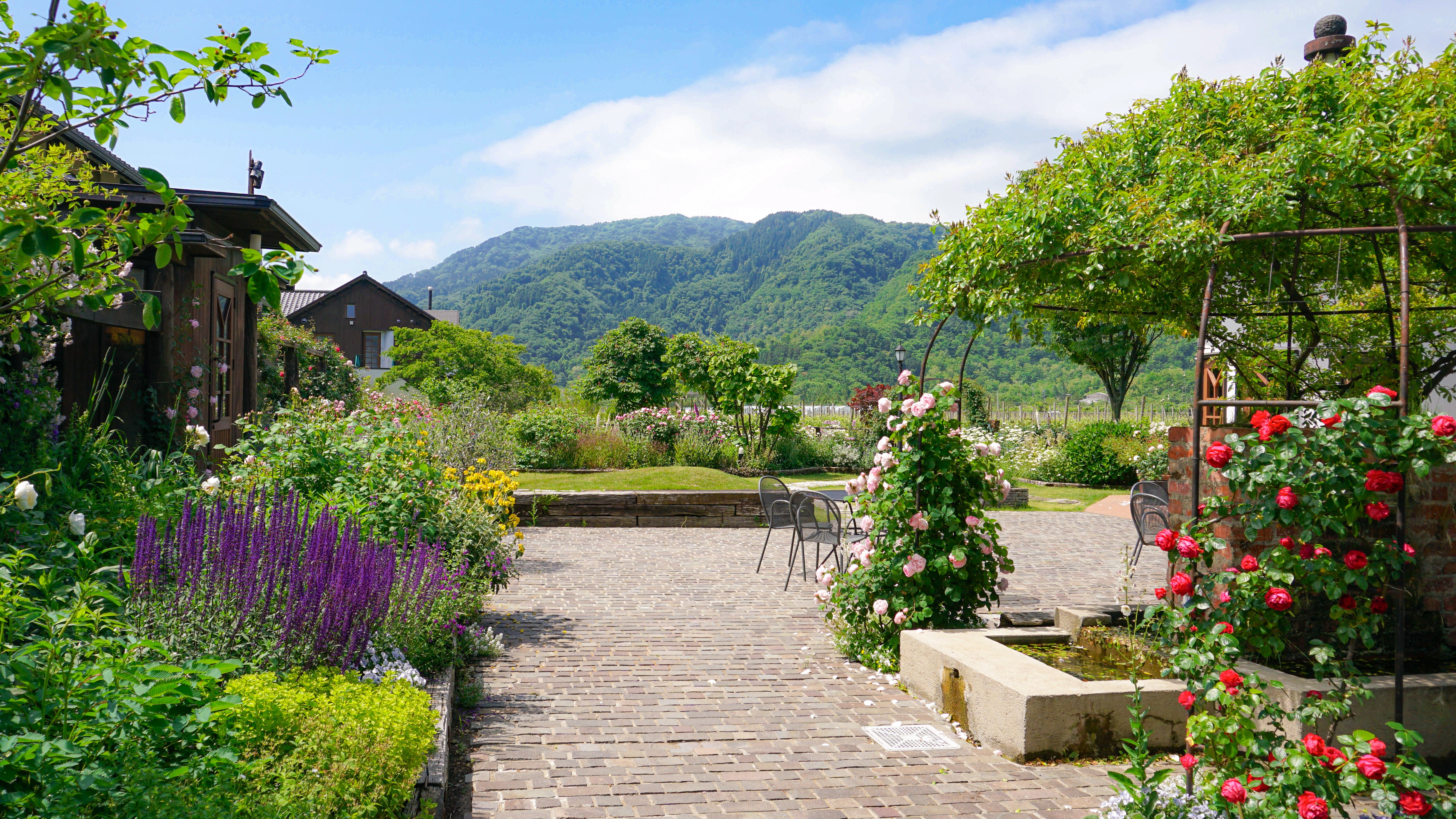 敷地内イメージ