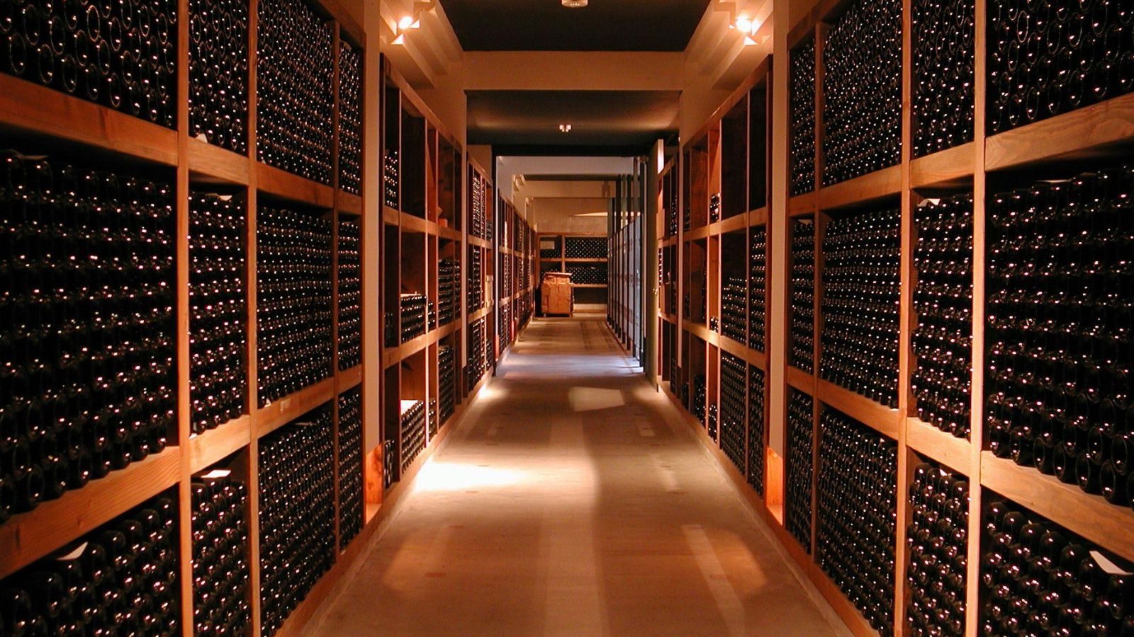 ワイナリーツアー（イメージ）