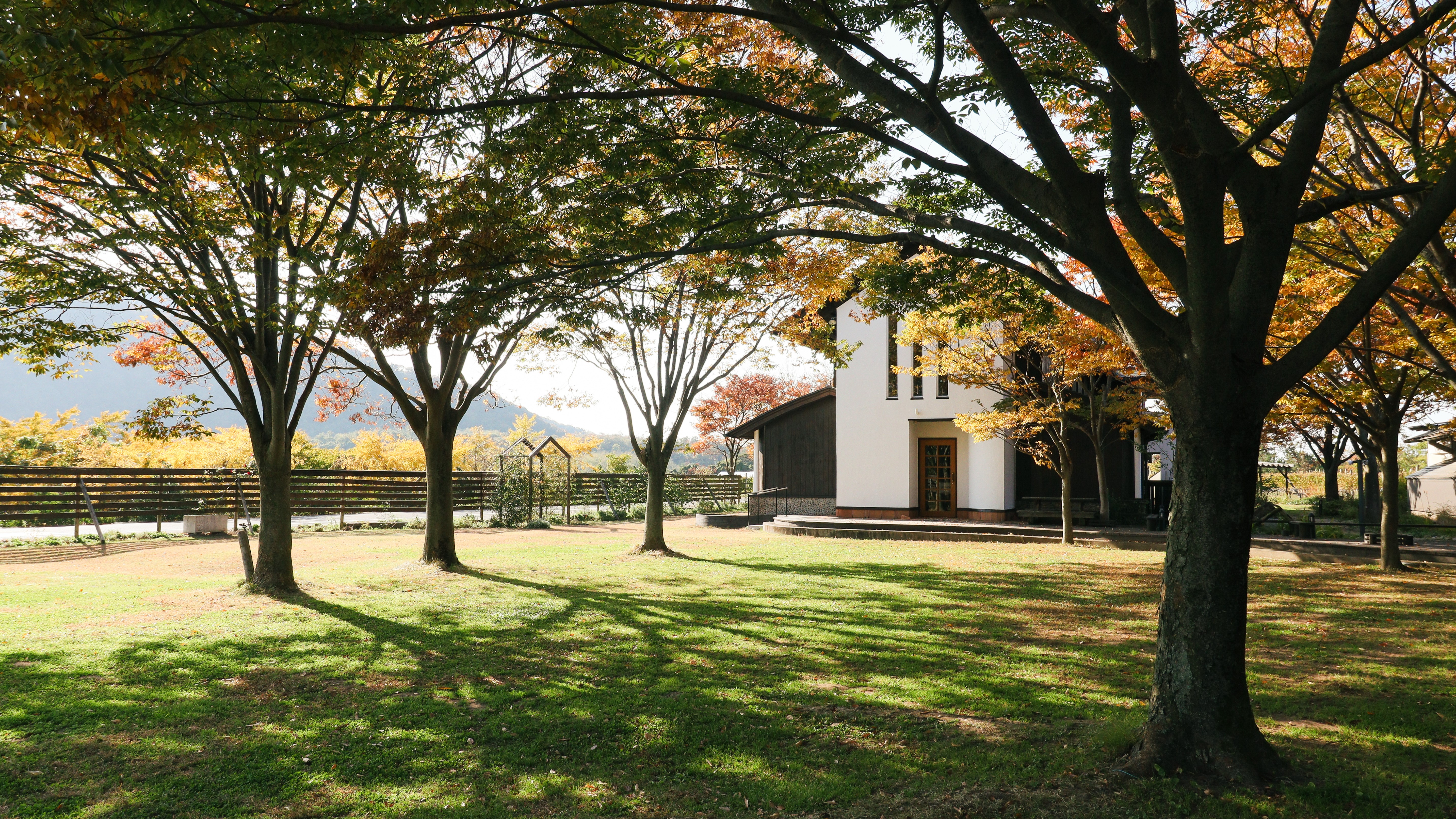 敷地内イメージ