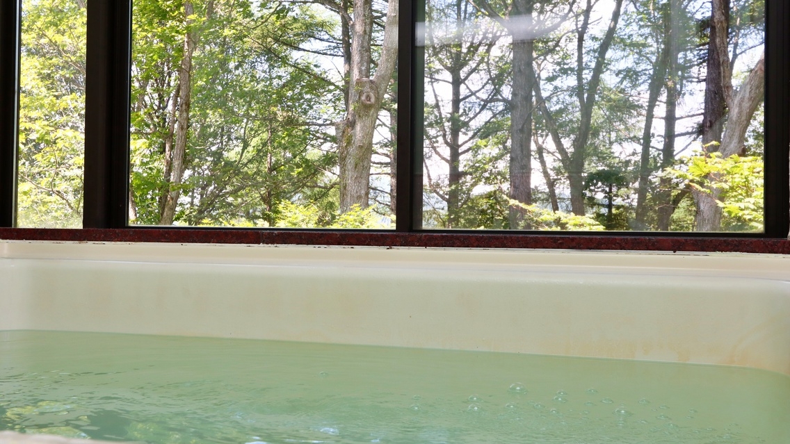 【冬季◆素泊まり】斑尾高原の綺麗な空気、緑、小鳥たちがお出迎え！手作り料理と燻製の宿　秋桜にようこそ