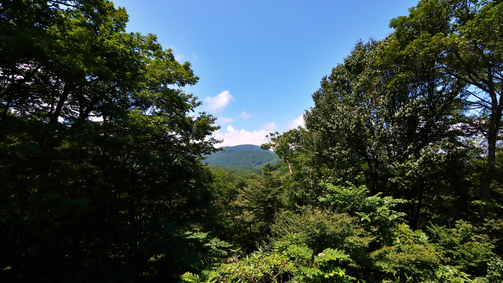 テラスからの景色