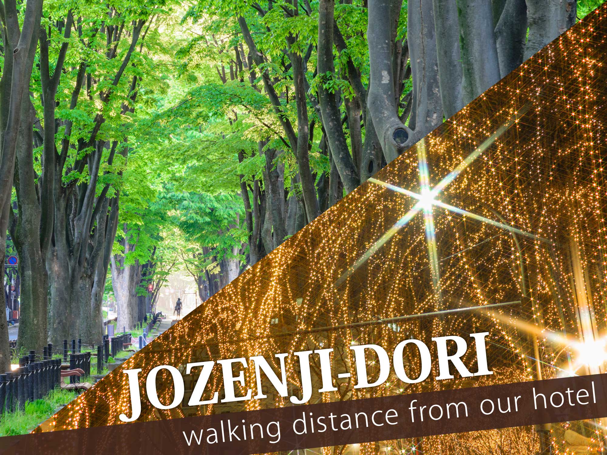 Jozenji-Dori（定禅寺通）