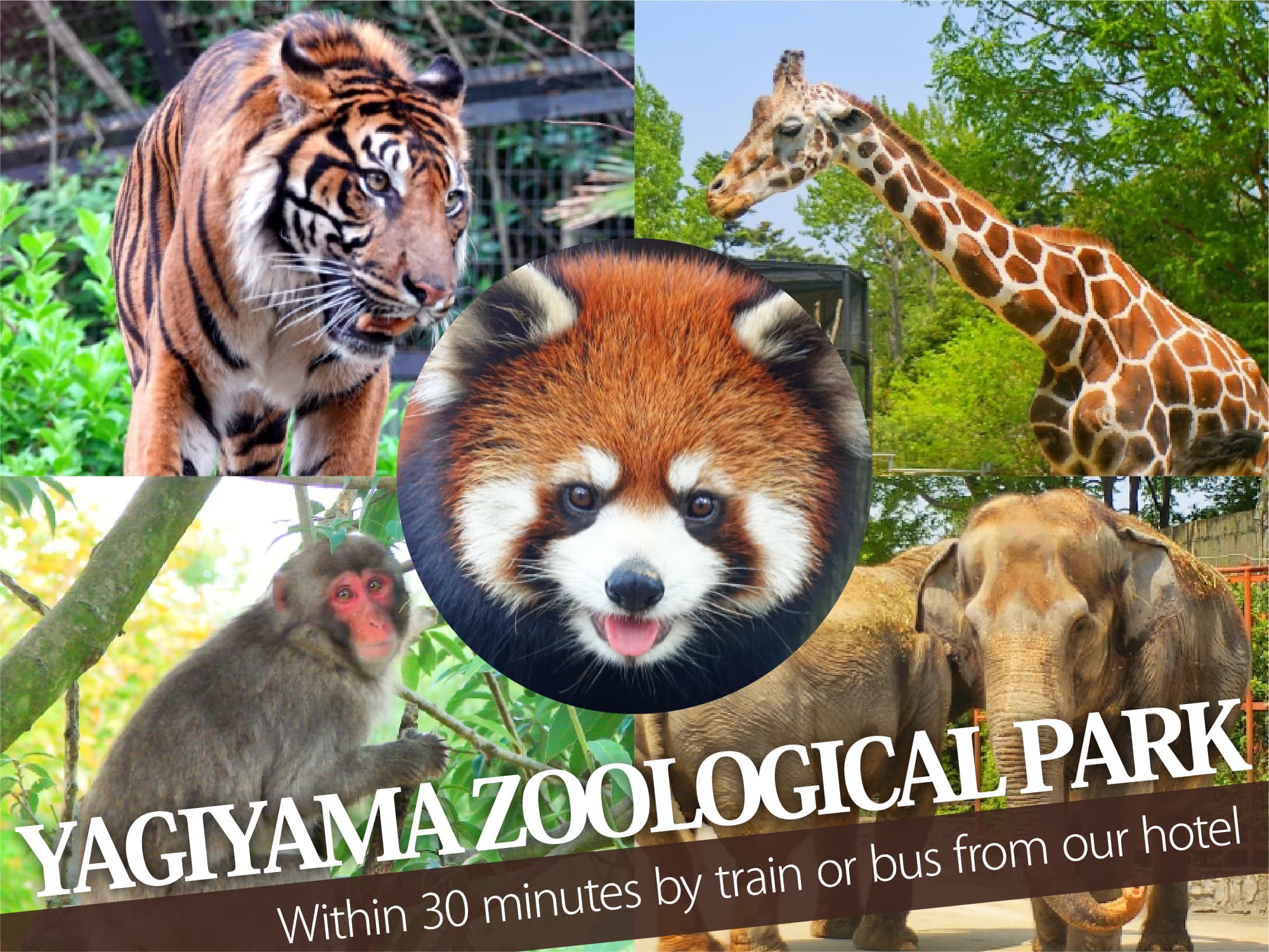 Yagiyama Zoological Park（八木山動物公園）