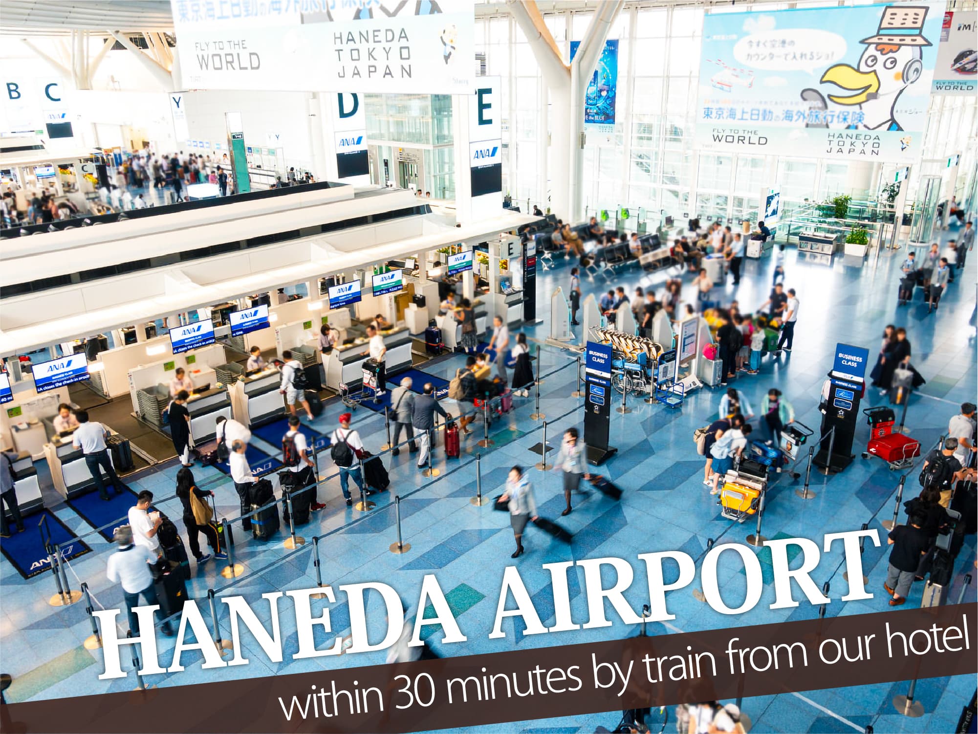 Haneda Airport（羽田空港）