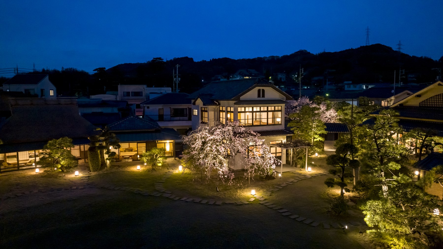 夜の庭園ライトアップ
