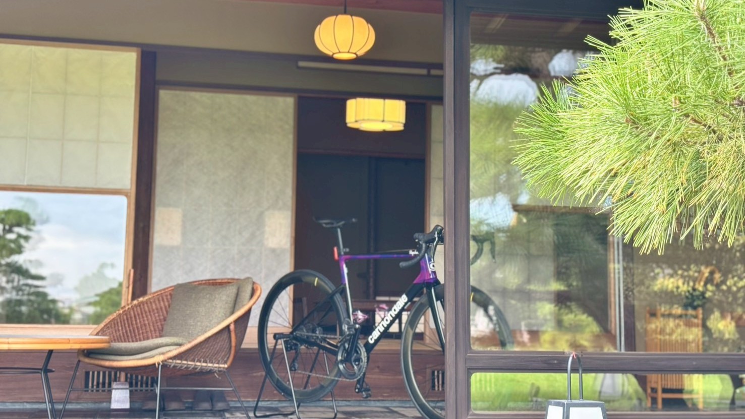 【1日1室限定】サイクリスト向けプラン