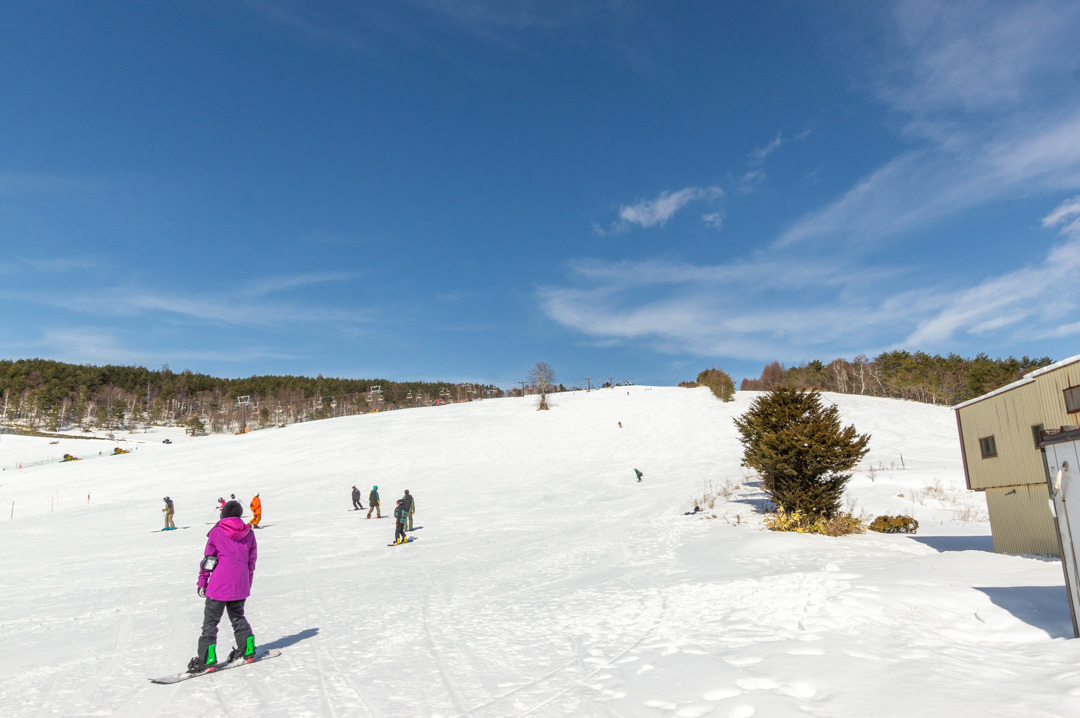 【手ぶらでお得にスキー・スノボ！】リフト2日券・レンタル30％割引プラン｜1泊2食付
