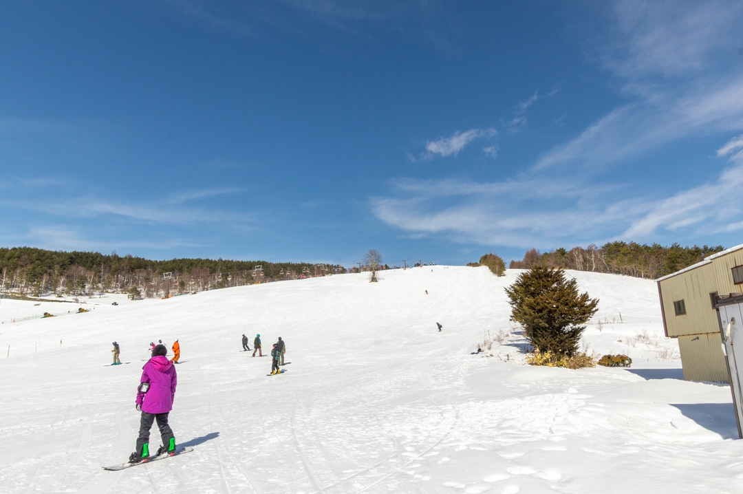 【手ぶらでお得にスキー・スノボ！】リフト2日券・レンタル30％割引プラン｜1泊2食付
