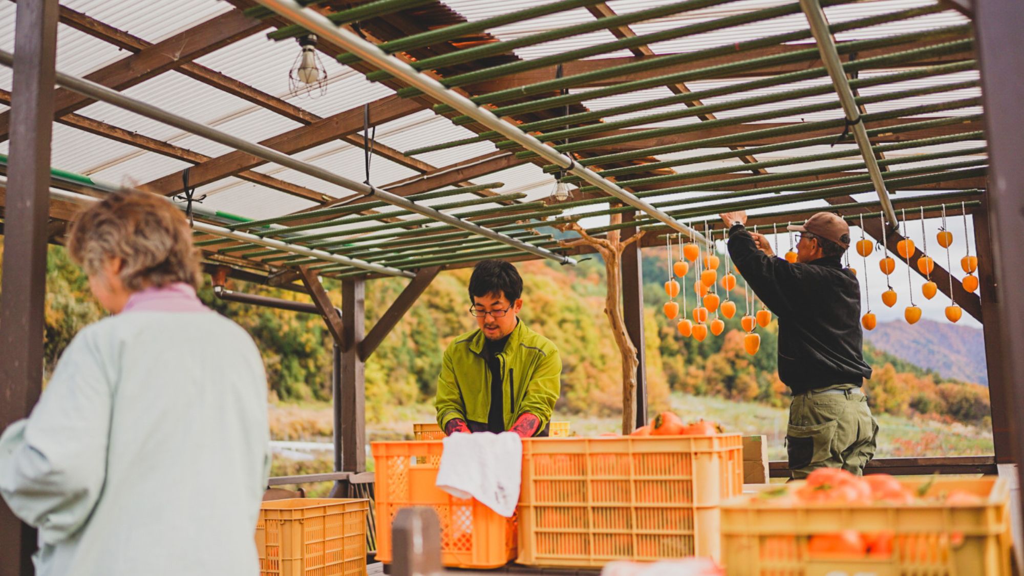 近隣の農家さんのお野菜・果物